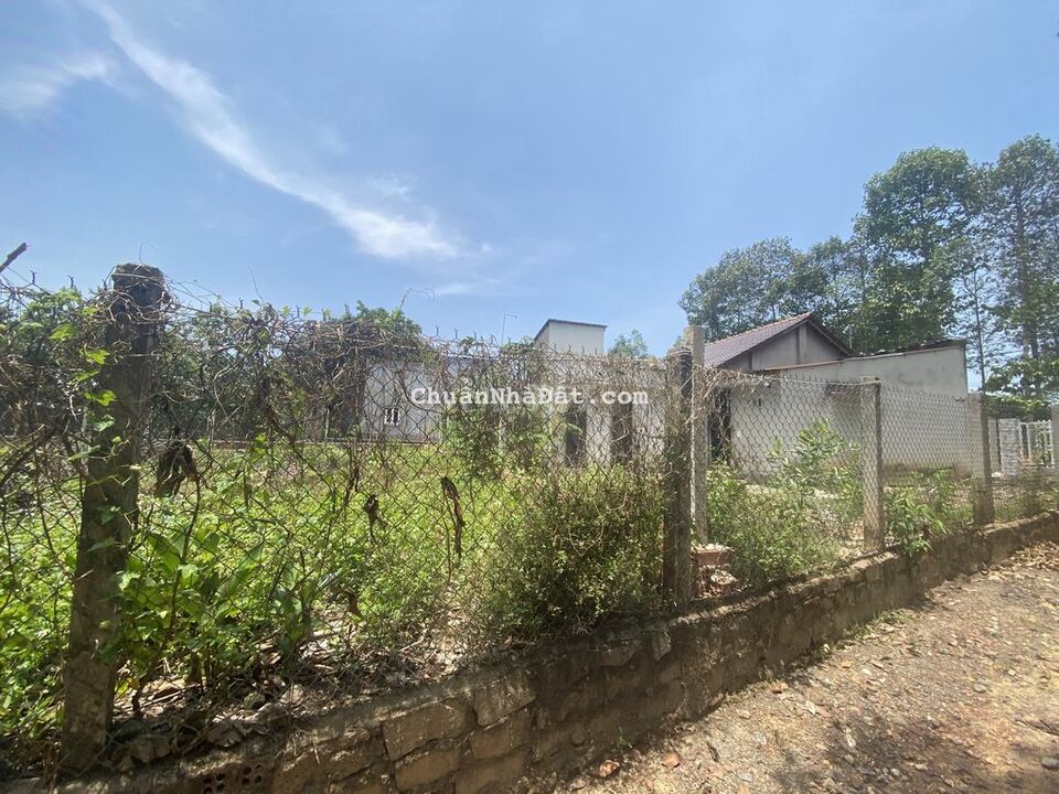 NÊN THỔ CỬ 100%,CHỈ VỚI GIÁ 435 TRIỆU,GIÁ RẼ CH0 NGƯỜI TÀI CHÍNH THẤP.