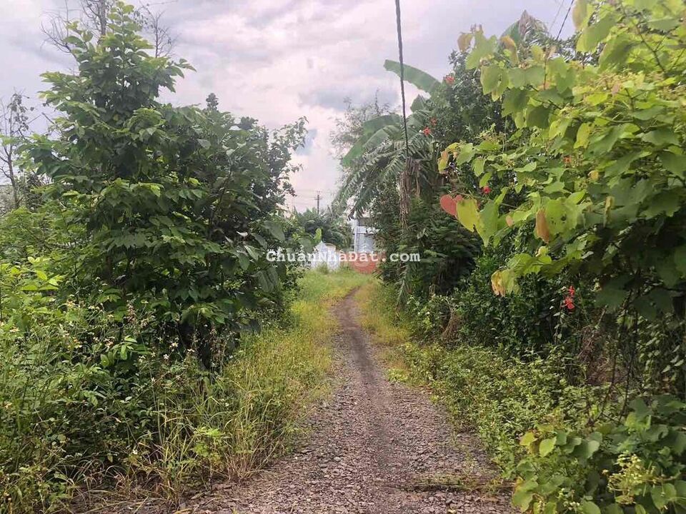 Nền full thổ cư 5x30 sổ Hồng, cách đường nhựa chỉ50m 500tr trọn sổ