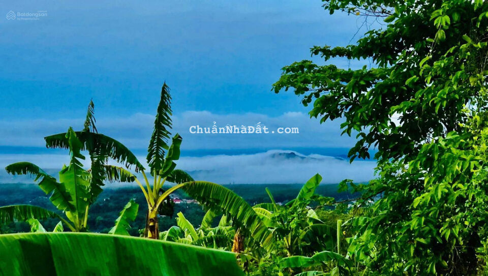 Bán đất nhà Vườn view Hồ Trị An siêu đẹp 1804m2 có 100m2 thổ cư LH 0567.54.1111