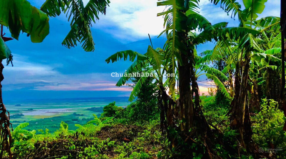 Bán đất nhà Vườn view Hồ Trị An siêu đẹp 1804m2 có 100m2 thổ cư LH 0567.54.1111