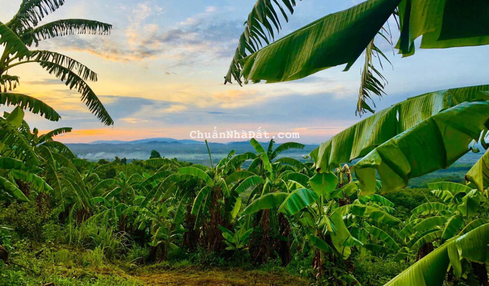 Bán đất nhà Vườn view Hồ Trị An siêu đẹp 1804m2 có 100m2 thổ cư LH 0567.54.1111