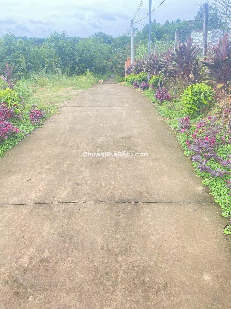 8 LÔ CƯ GIÁ RẼ CHO NHA ĐẦU TƯ,NẰM GẦN QUỐC Ộ 20,DÂN CƯ Ở ĐÔNG. 8 LÔ CƯ GIÁ RẼ CHO NHA ĐẦU TƯ,NẰM GẦN QUỐC Ộ 20,DÂN CƯ Ở ĐÔNG.