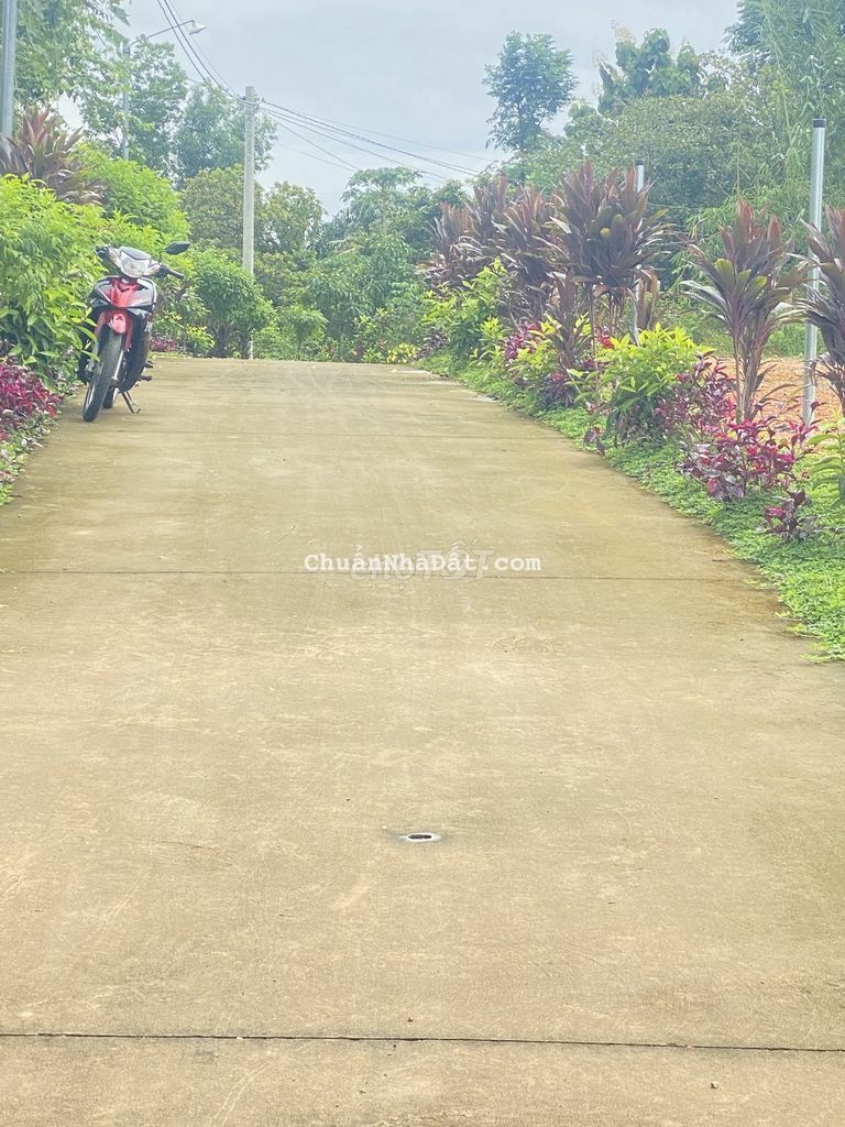 8 LÔ CƯ GIÁ RẼ CHO NHA ĐẦU TƯ,NẰM GẦN QUỐC Ộ 20,DÂN CƯ Ở ĐÔNG. 8 LÔ CƯ GIÁ RẼ CHO NHA ĐẦU TƯ,NẰM GẦN QUỐC Ộ 20,DÂN CƯ Ở ĐÔNG.