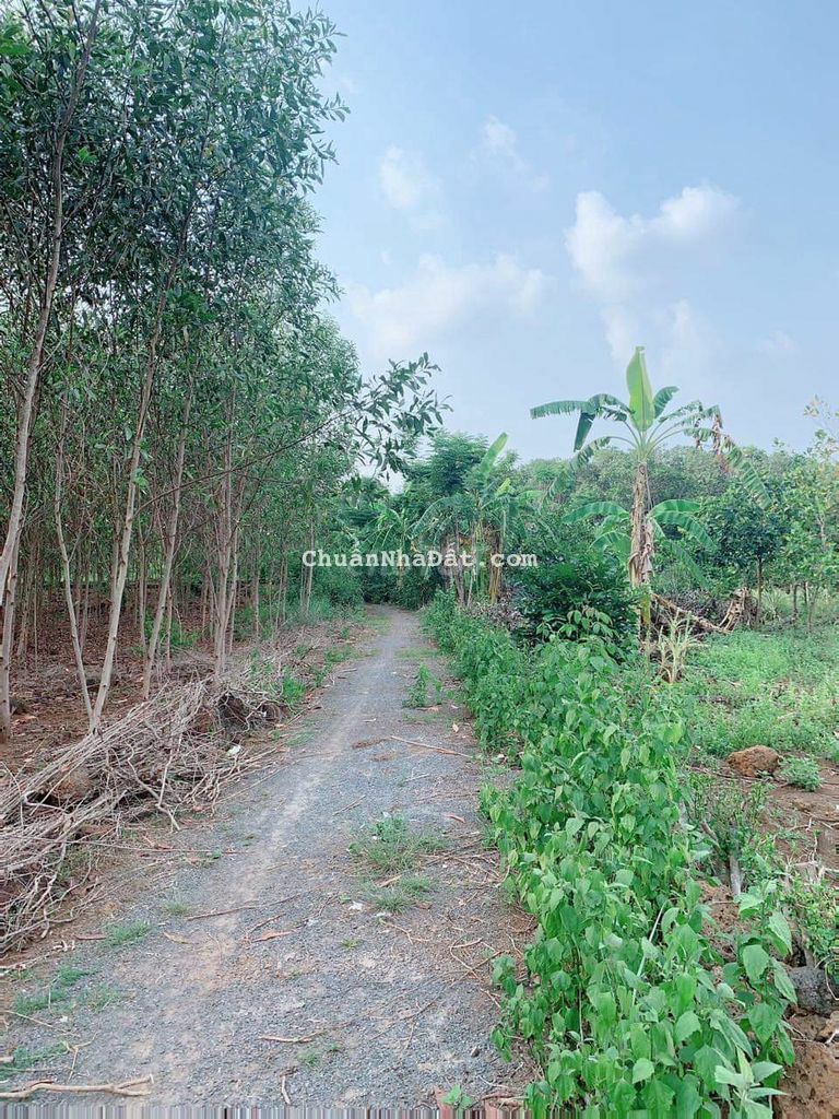 BÁN LÔ ĐẤT VƯỜN 3200M2 KHU DÂN CƯ GIÁ RẺ 850TR