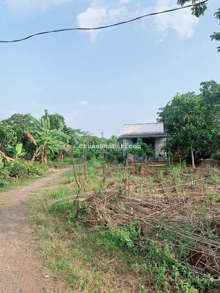 BÁN LÔ ĐẤT VƯỜN 3200M2 KHU DÂN CƯ GIÁ RẺ 850TR