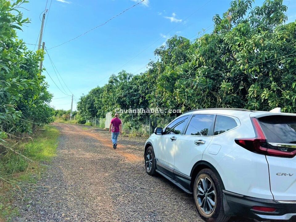 BÁN NHÀ VƯỜN GẦN KHU CÔNG NGHIỆP ĐỊNH QUÁN 8700M2+ NHÀ CẤP 4 CHỈ 3TỶ1