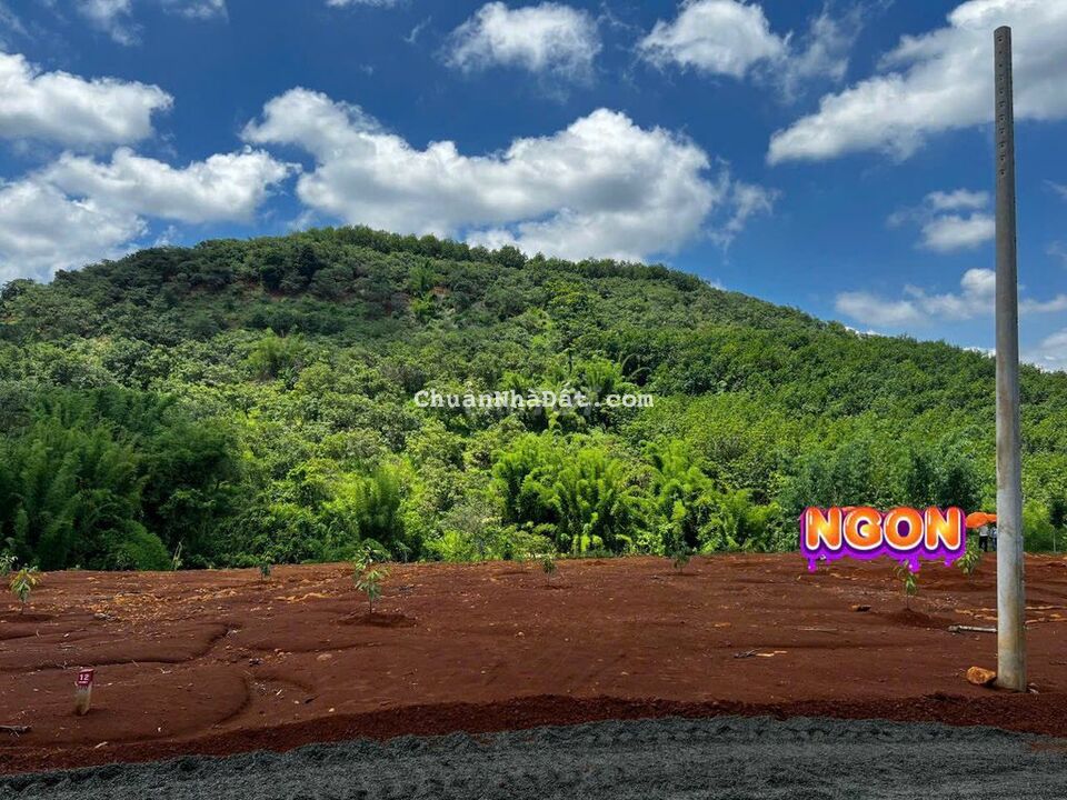 Bán đất đồng phú  mặt tiền đường nhựa 12m