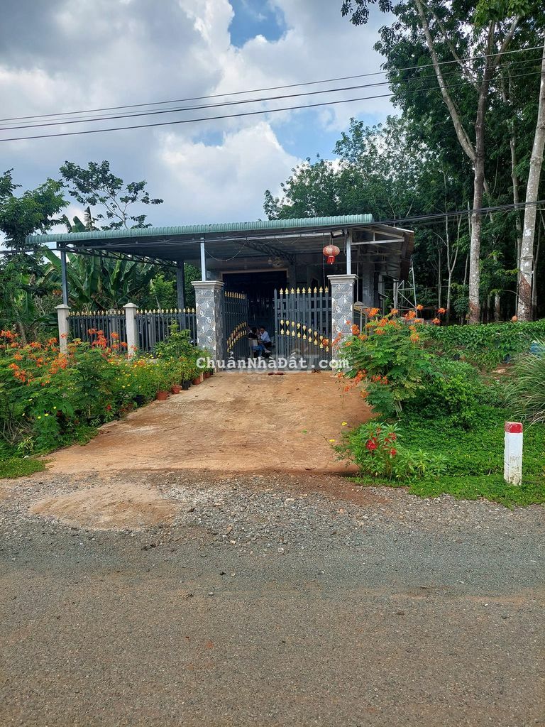 CÒN VÀI LÔ ĐẤT MẶT TIỀN ĐƯỜNG 12M , NẰM SÁT KHU DÂN CƯ