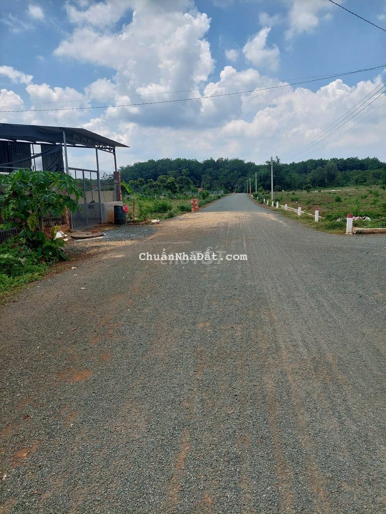 CÒN VÀI LÔ ĐẤT MẶT TIỀN ĐƯỜNG 12M , NẰM SÁT KHU DÂN CƯ