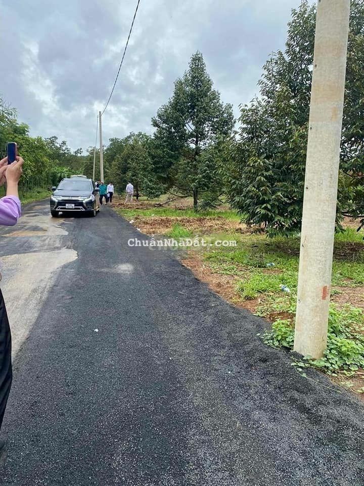 CẦN BÁN VỘI LÔ ĐẤT VƯỜN SẦU RIÊNG ĐANG THU HOẠCH , GIÁ CẢ THƯƠNG LƯỢNG