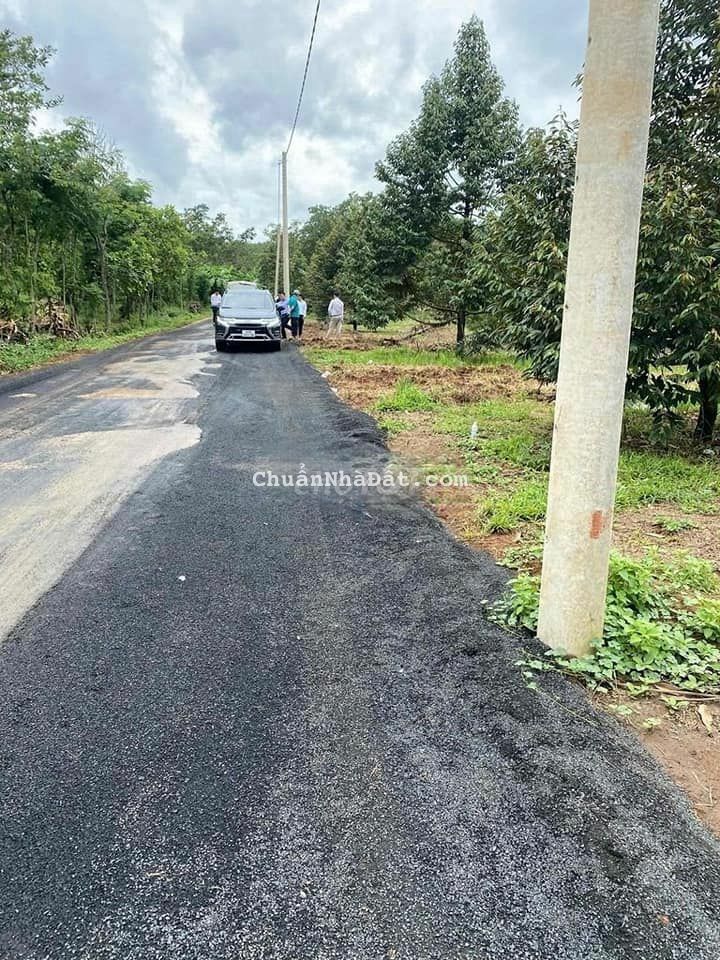 CẦN BÁN VỘI LÔ ĐẤT VƯỜN SẦU RIÊNG ĐANG THU HOẠCH , GIÁ CẢ THƯƠNG LƯỢNG