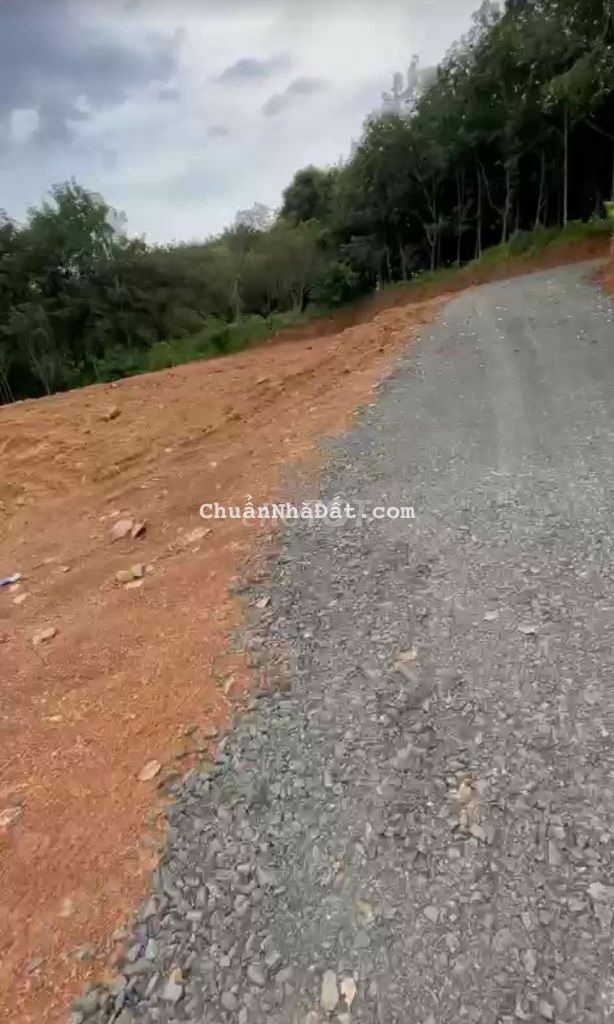 🏜SIÊU RẺ_Đất bán chính chủ giá rẻ  Bình Phước.