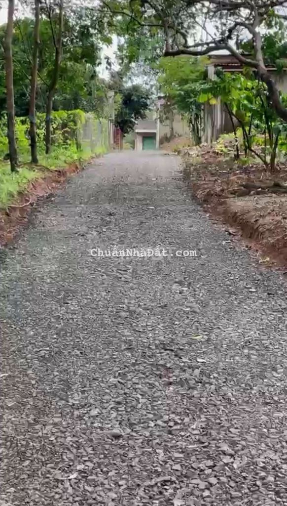 🏜SIÊU RẺ_Đất bán chính chủ giá rẻ  Bình Phước.