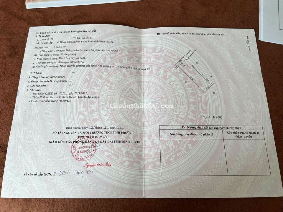 🏜GIẢM  150Triệu Bán Lỗ 1023m2 đất Đồng phú chỉ 295Tr/Trọn sổ