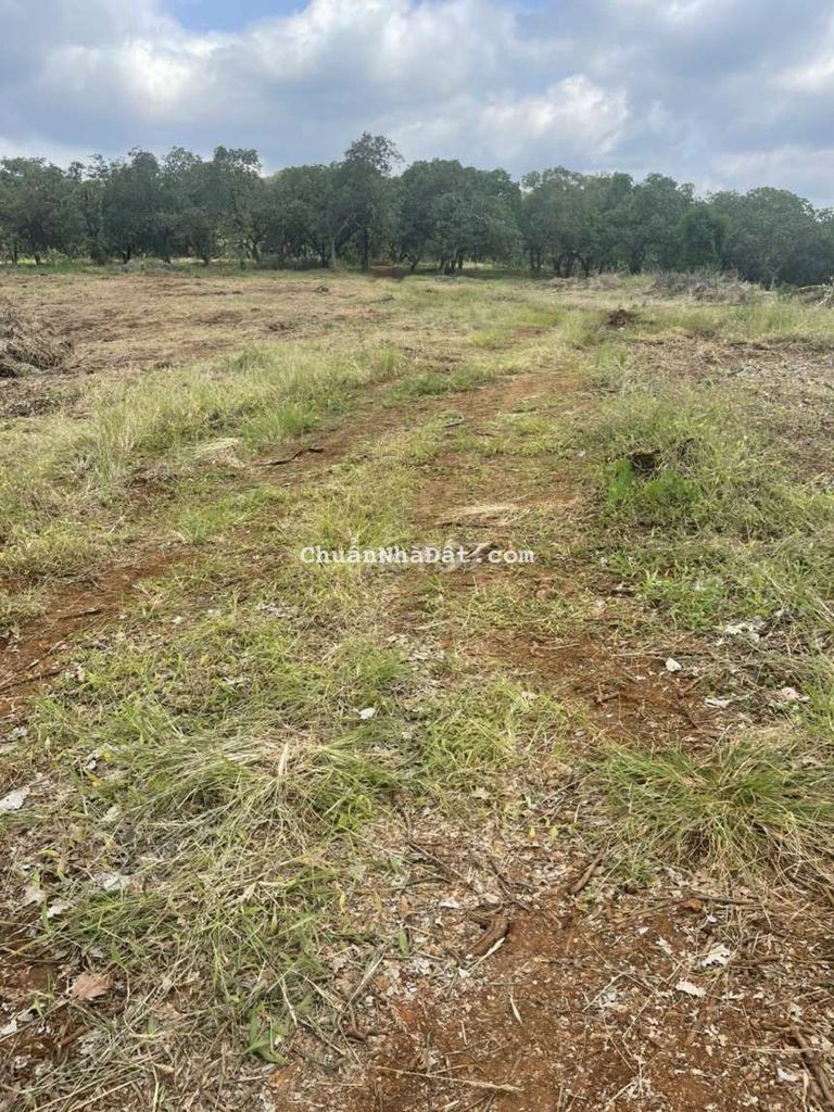 🏜RẺ SẬP SÀN_GIẢM 140TR_Bán nhanh lô đất 1070m2 Bình Phước.