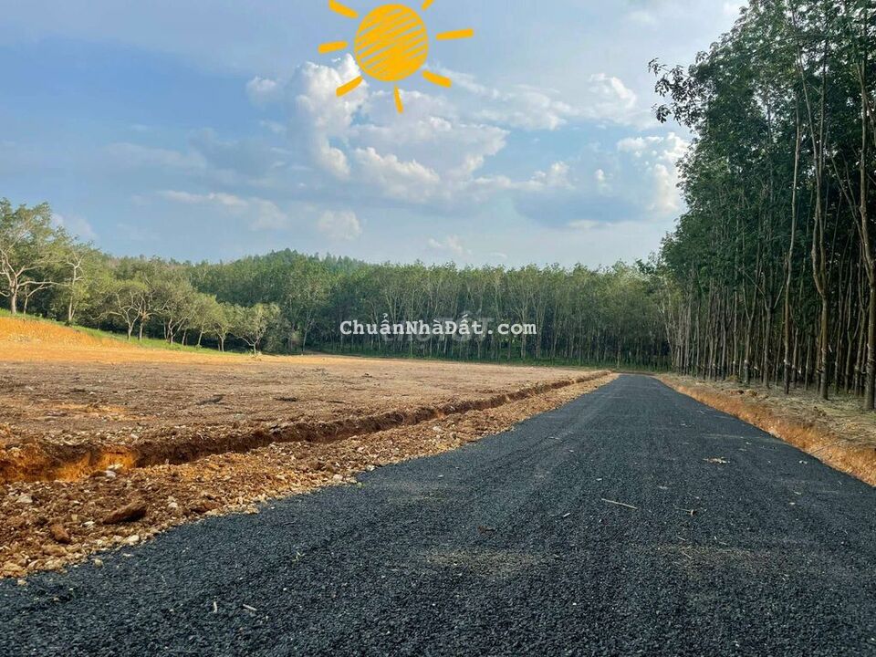 🏜RẺ SIÊU ĐỈNH_BẮT ĐÁY BDS LỜI NGAY KHI MUA_Bán 1193m2 Đất Bình Phước.