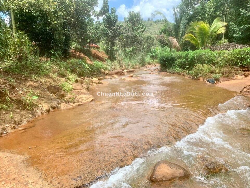 Đất Sào mặt tiền đường nhựa 12m