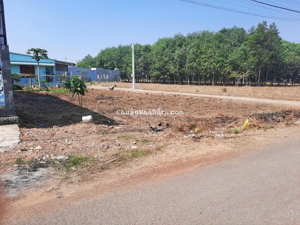 Lô đất dân gửi bán mặt tiền đường 8m giá 130tr