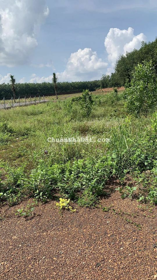 ĐẤT THỔ CƯ MẶT TIỀN ĐƯỜNG DT755 GIÁ SIÊU RẺ