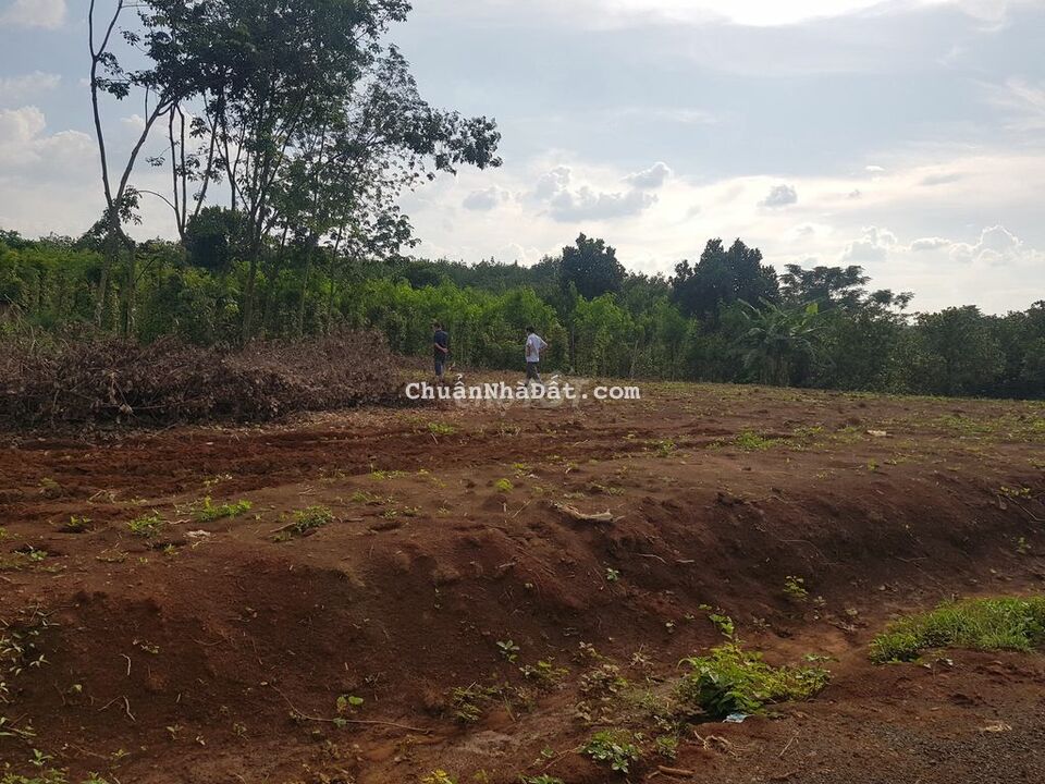 CẦN RA LÔ ĐẤT MẶT TIỀN ĐƯỜNG NHỰA , DÂN CƯ ĐÔNG ĐÚC