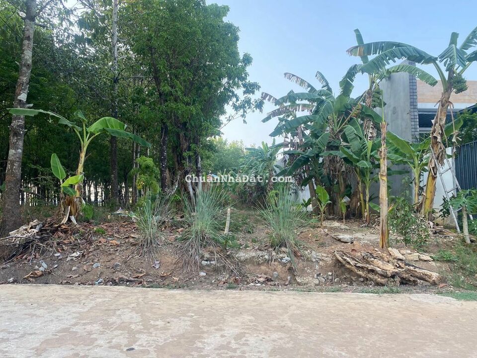 cần bán lô đất đồng phú giá rẻ