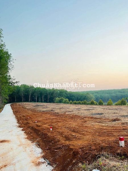 Đất thổ cư mặt tiền bể tông 6m