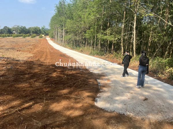 Đất thổ cư mặt tiền bể tông 6m