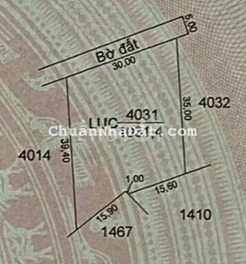 Bán đất lúa diện tích 1000mv giá 550tr Bán đất lúa diện tích 1000mv giá 550tr