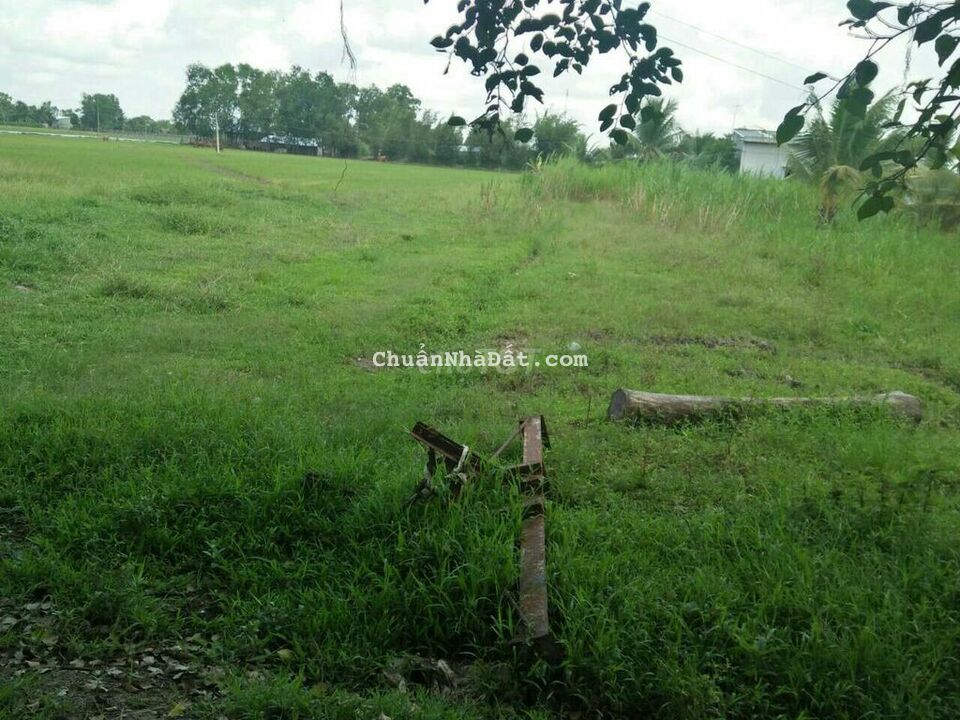 Bán đất thổ cư diện tích 240mv giá 750tr Bán đất thổ cư diện tích 240mv giá 750tr