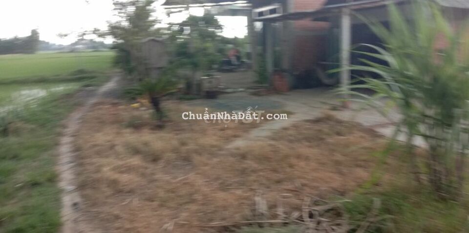 Bán 264m2 đất vườn gần UBND xã Mỹ Thạnh Đông SHR chỉ 620tr Bán 264m2 đất vườn gần UBND xã Mỹ Thạnh Đông SHR chỉ 620tr