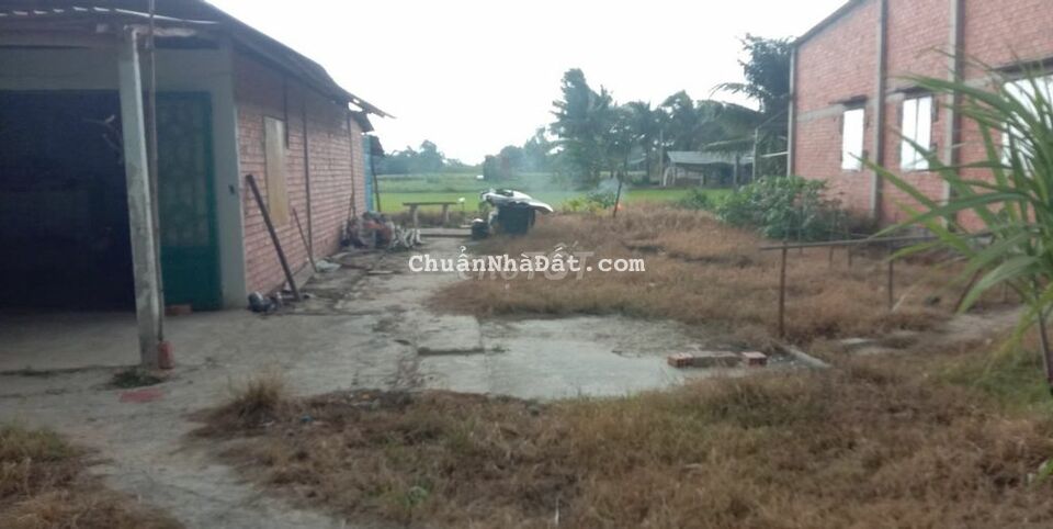 Bán 264m2 đất vườn gần UBND xã Mỹ Thạnh Đông SHR chỉ 620tr Bán 264m2 đất vườn gần UBND xã Mỹ Thạnh Đông SHR chỉ 620tr