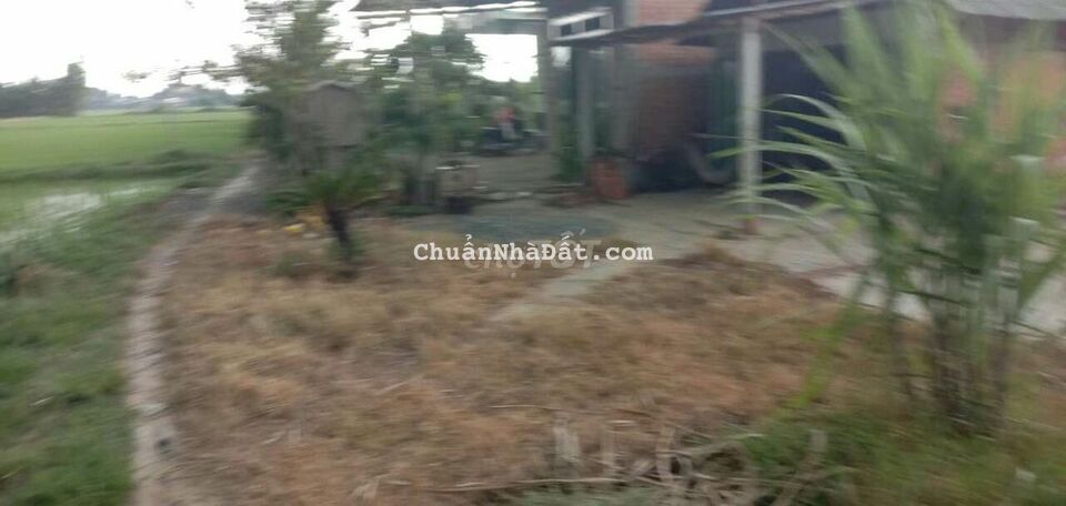 Bán đất vườn diện tích 264mv giá 650tr