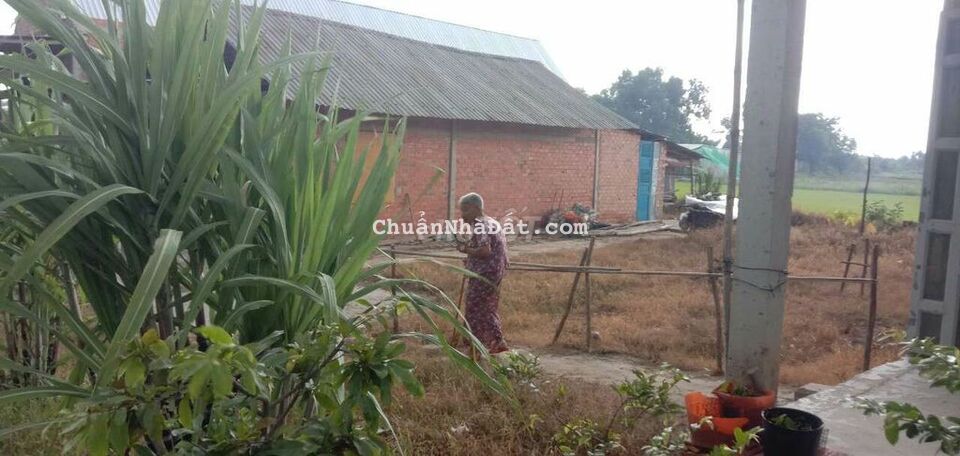 Bán đất vườn diện tích 264mv giá 650tr