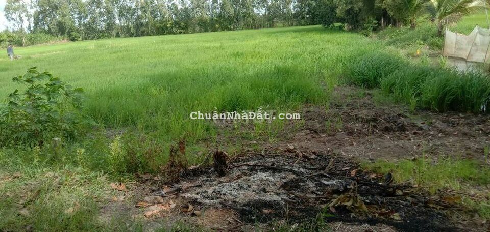 Bán đất thổ cư diện tích 306mv giá 950tr