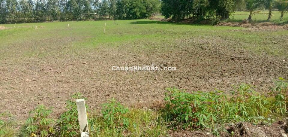 Bán đất thổ cư diện tích 370 giá 1t300