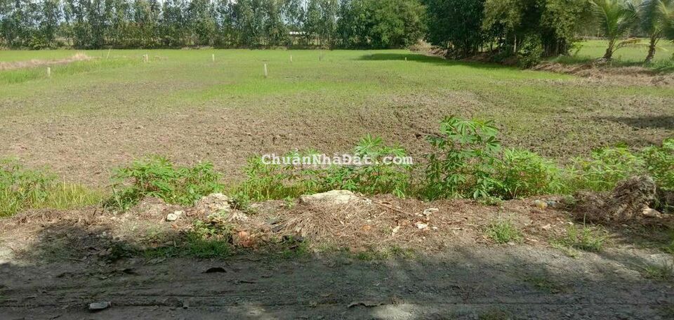 Bán đất thổ cư diện tích 370 giá 1t300