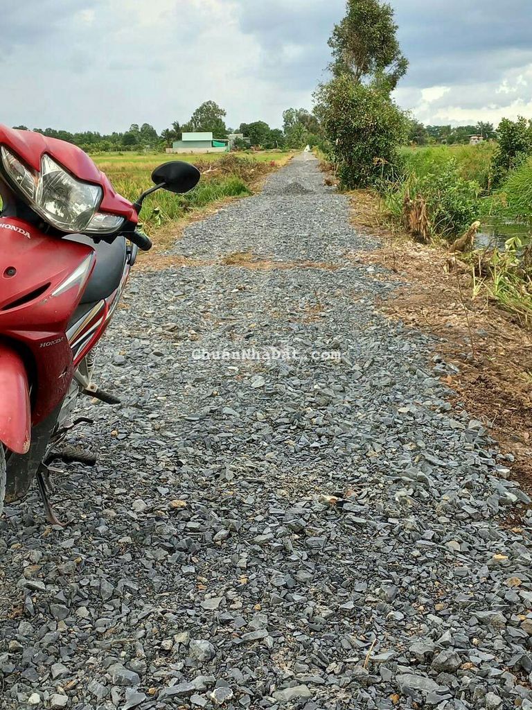 Bán đất lúa diện tích 3838mv giá 1t450 Bán đất lúa diện tích 3838mv giá 1t450