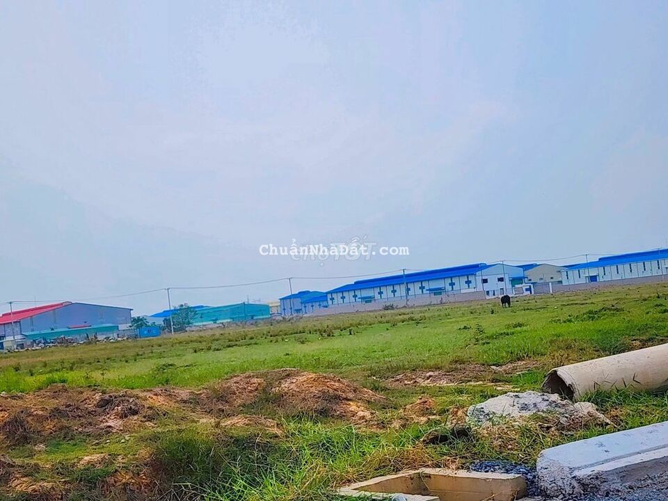 Chủ kẹt tiền bán nền đất khu công nghiệp Tân Đô, Tân Đức giá ngộp