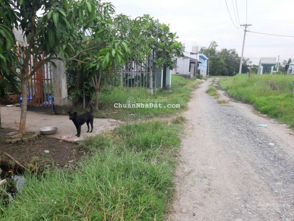 BÁN LÔ ĐẤT NGỘP GIÁ TỐT NHẤT KHU VỰC, 5X26 (130M2), NGAY KHU ẤP 2 XÃ HỰU THẠNH, GIÁ 850 TRIỆU