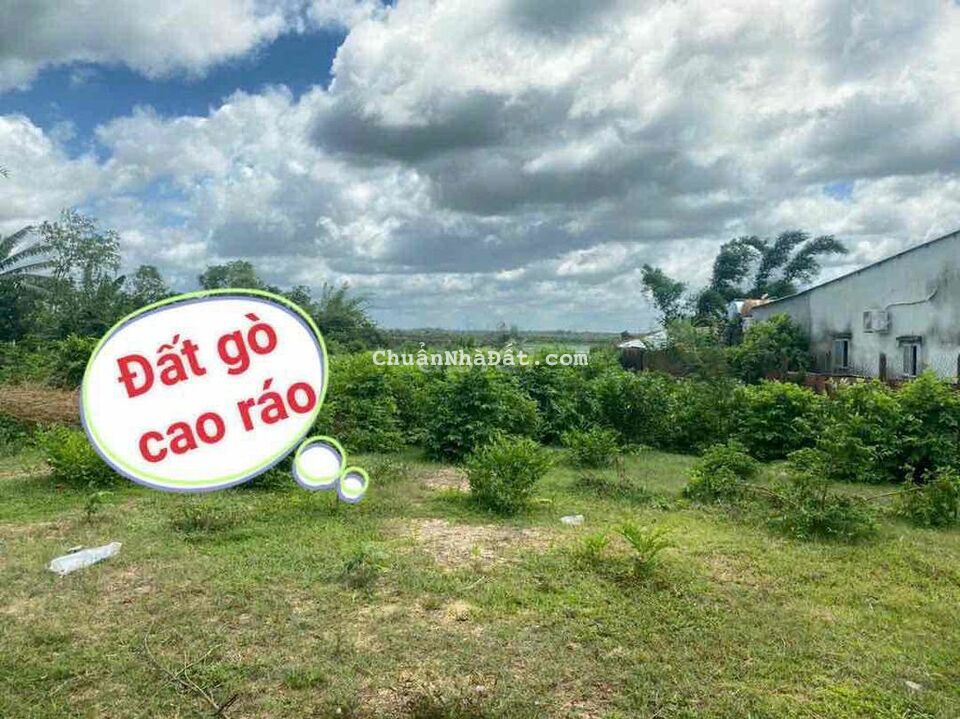 Mặt tiền nhựa Lục Viên 20m, Nền 22x65, Tiềm năng phát triển cực cao Mặt tiền nhựa Lục Viên 20m, Nền 22x65, Tiềm năng phát triển cực cao