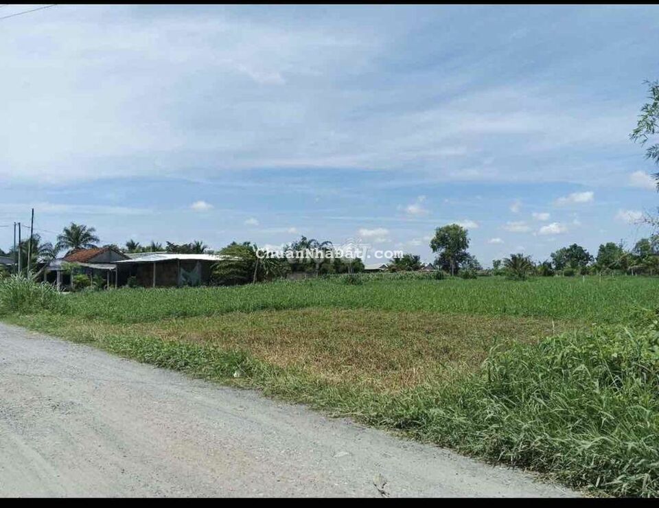 Thanh lý Đất MT hẻm Xe Hơi Đức Hoà