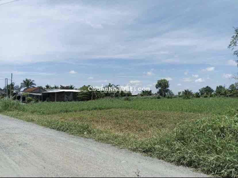 Đất Ngột Cần Bán Gấp