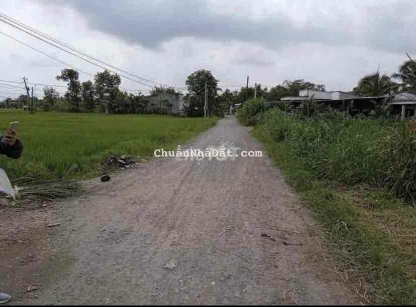 Đất Ngột Cần Bán Gấp