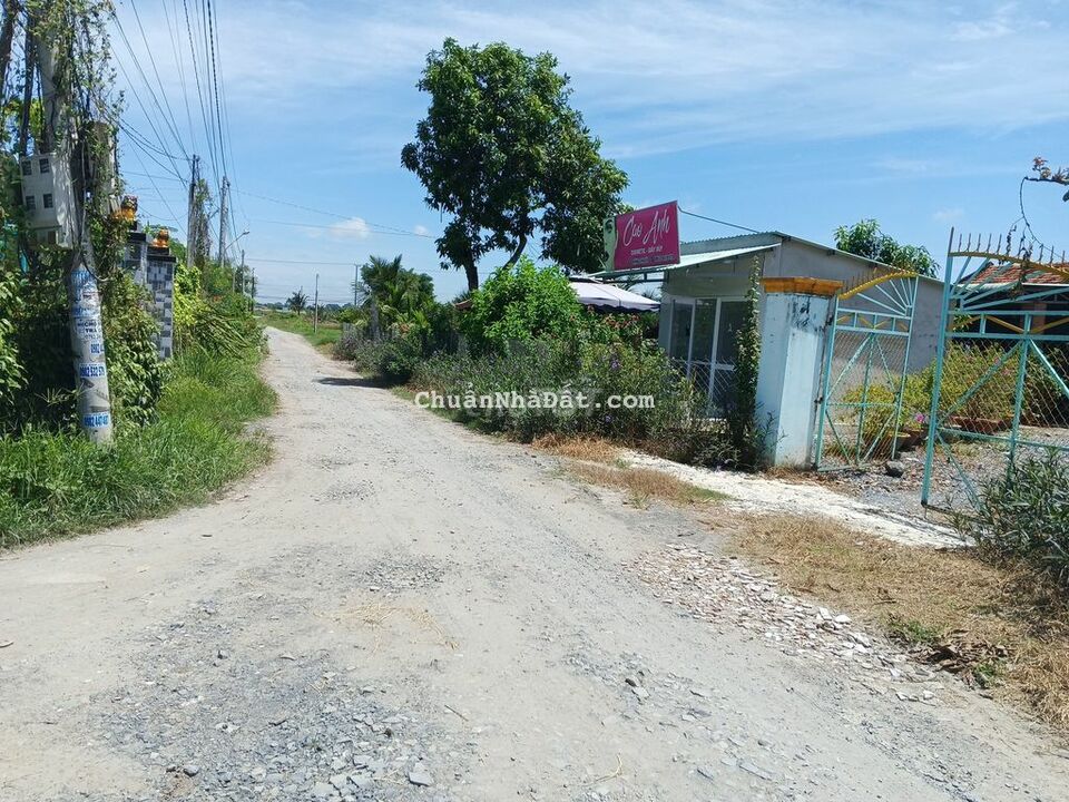 Bán đất Thổ cư Tân Mỹ - Đức Hoà gần đường lớn, dân cư đông đúc