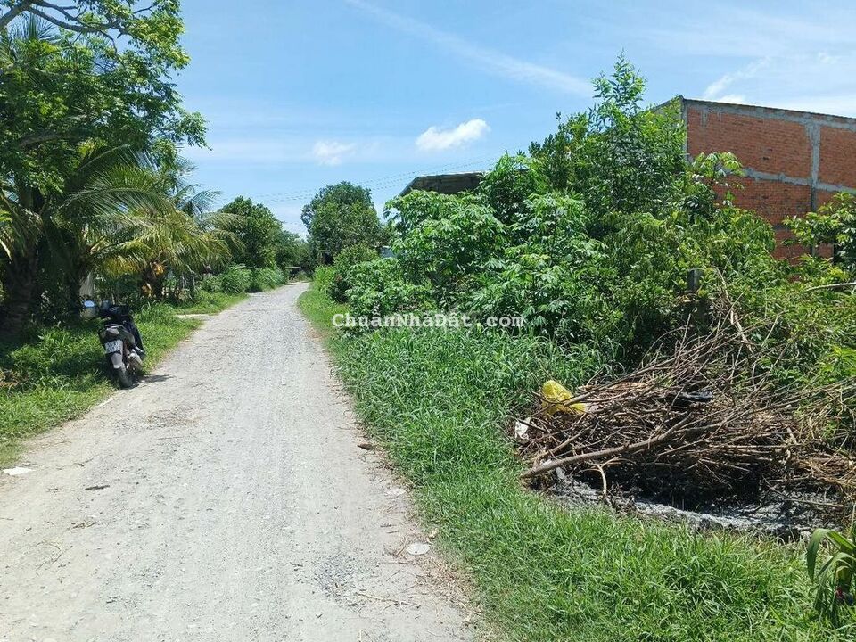 Đất thổ cư ngân hàng thanh lý tại Đức Hoà - Long An Đất thổ cư ngân hàng thanh lý tại Đức Hoà - Long An