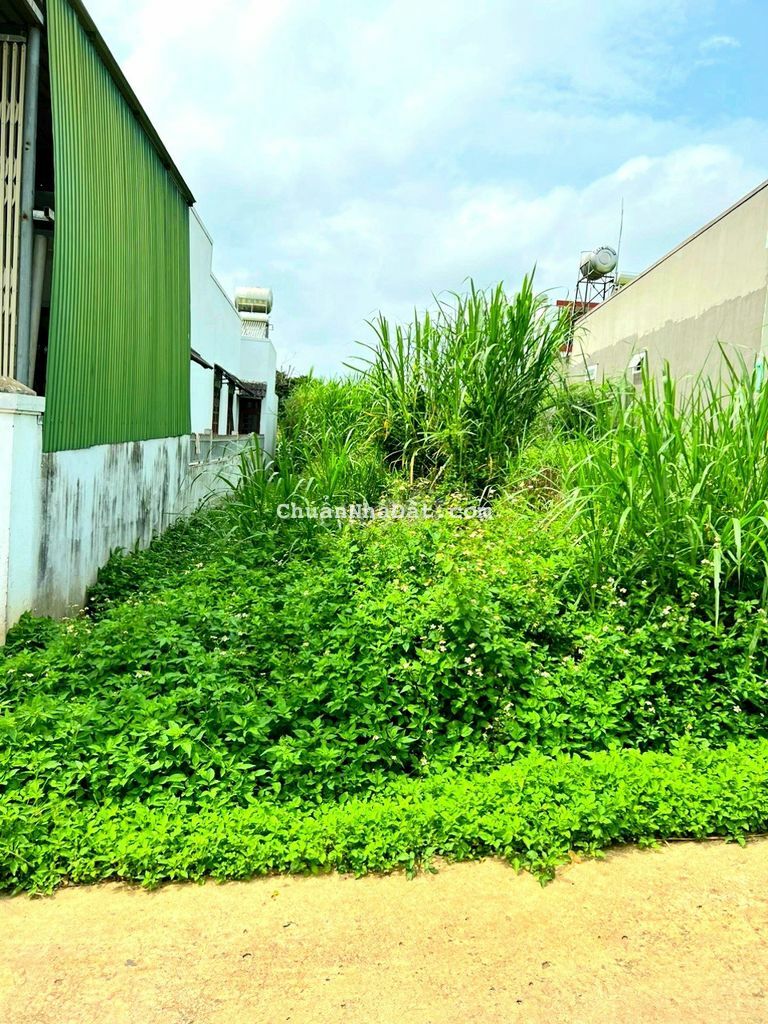 Bán đất sổ riêng 136m thổ cư thị trấn liên nghĩa, đường xe hơi