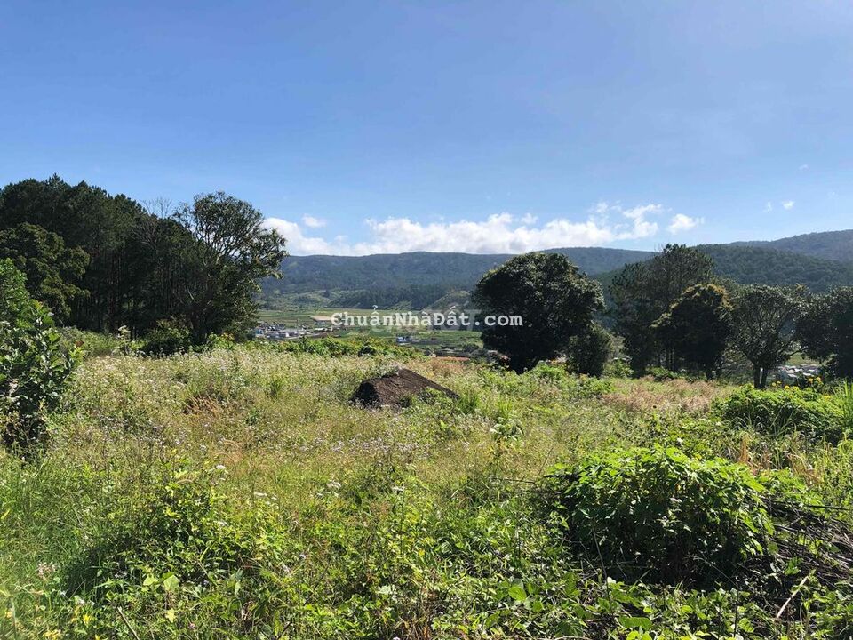 17000m2 ( 1,7 hecta )có 200m2 ONT, 170m MT cao tốc