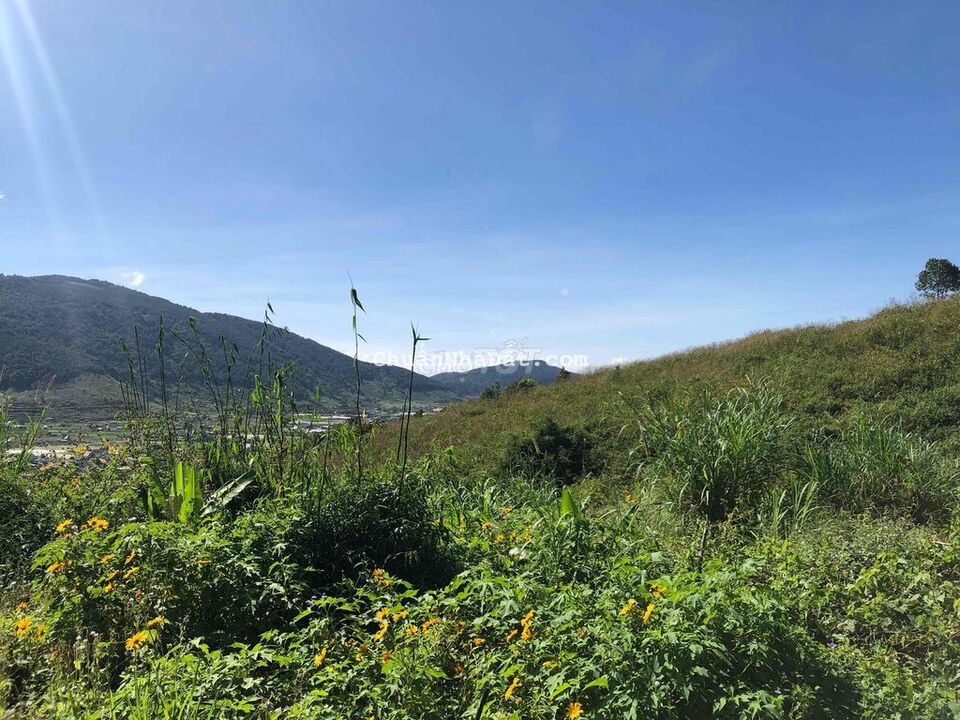 17000m2 ( 1,7 hecta )có 200m2 ONT, 170m MT cao tốc