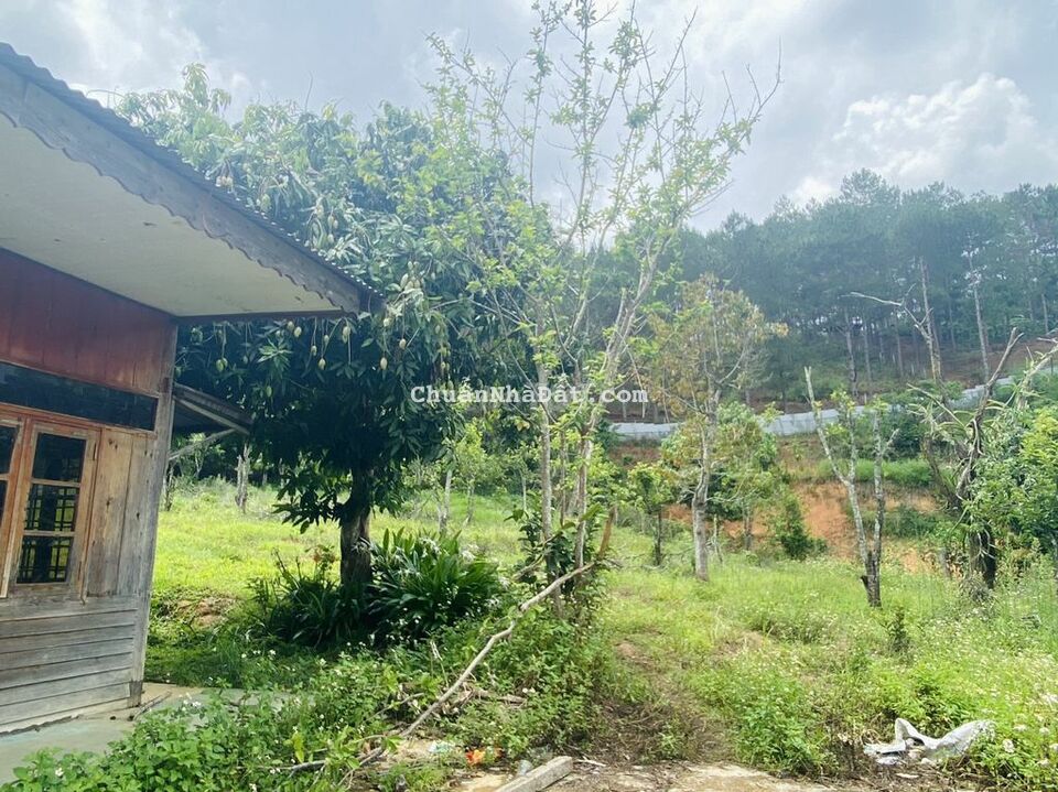 Bán đất thổ cư 17000m2 ngay chân đèo Prenn, xã Hiệp An, Đà Lạt