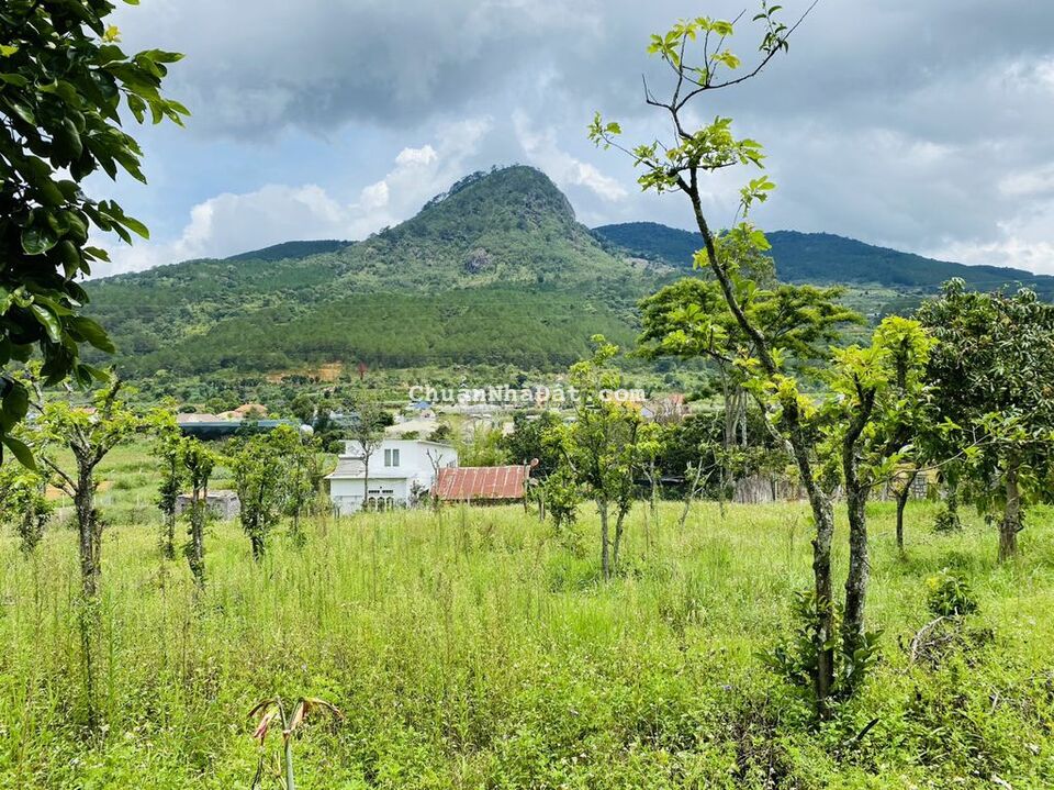 Bán đất thổ cư 17000m2 ngay chân đèo Prenn, xã Hiệp An, Đà Lạt